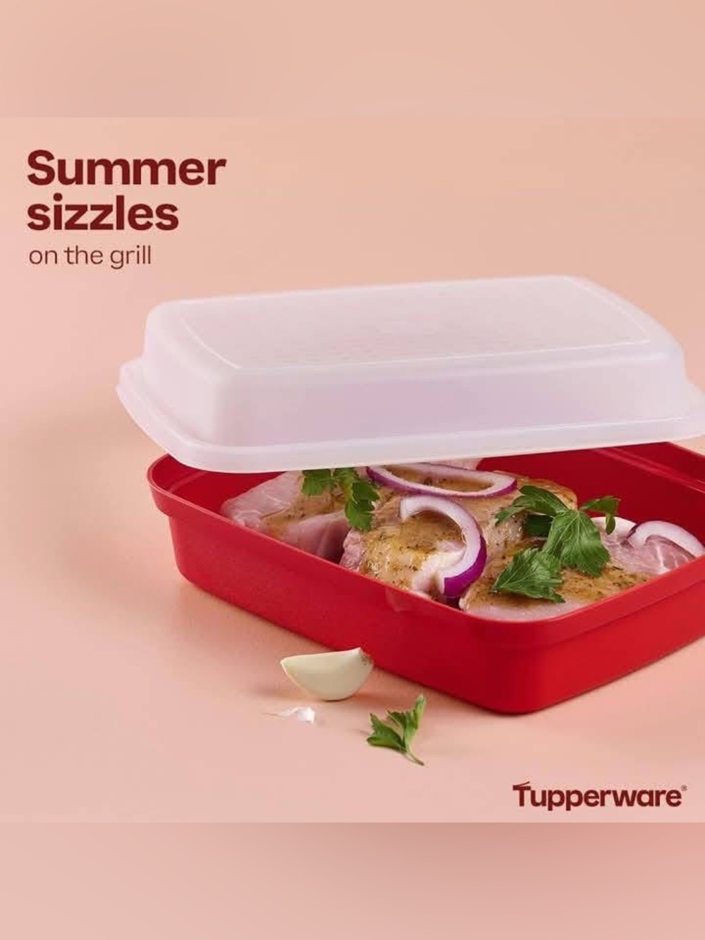 Tupperware JR Season Serve Marinating Container